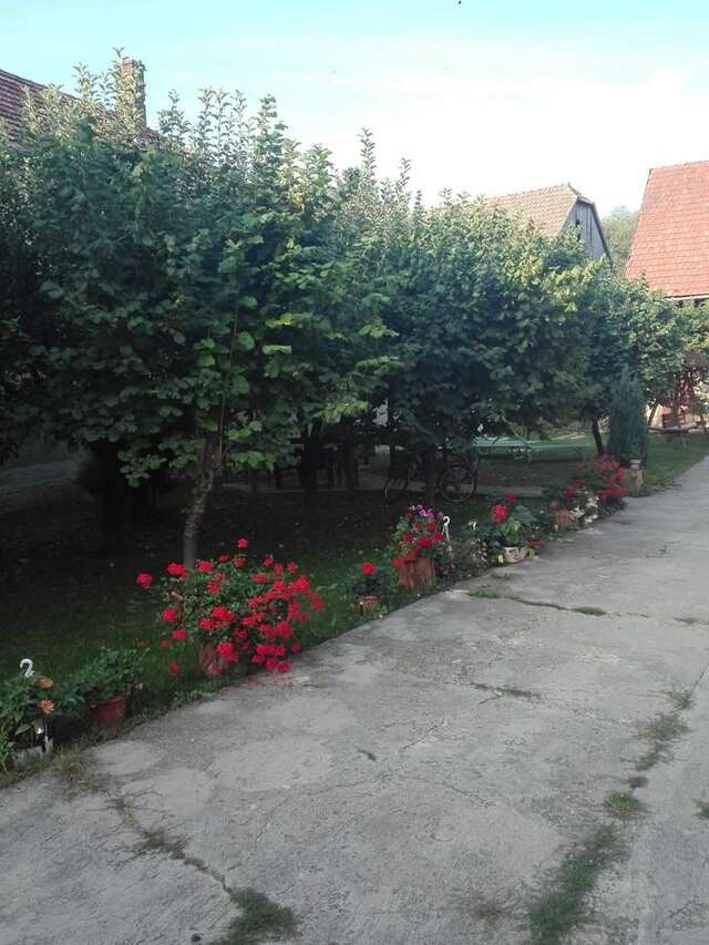 Гостевой дом Kalotaszeg Vendégház Izvoru Crişului-8